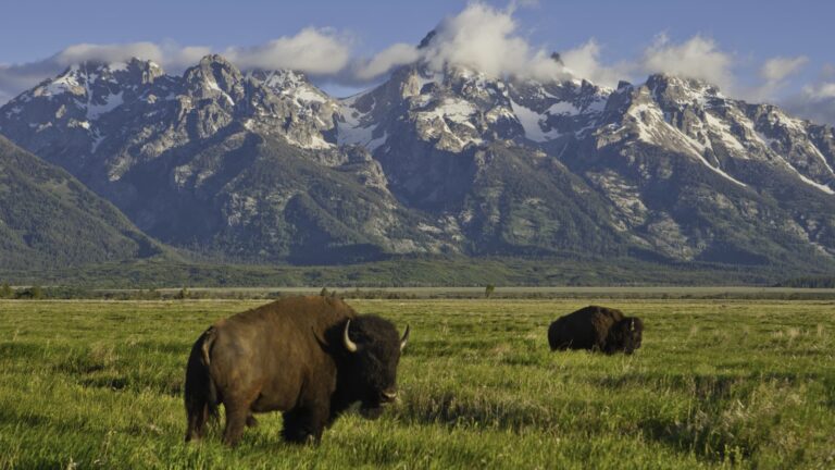 108159184 1749831194055 gettyimages 522684140 grandteton0052