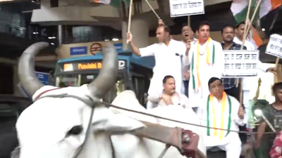 1778922356 image pti