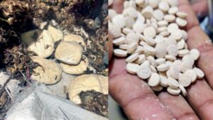 captagon drug used by is operatives seized in delhi