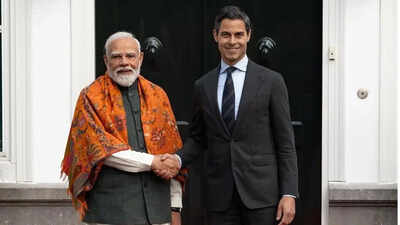 india netherlands set up joint working group on clean energy