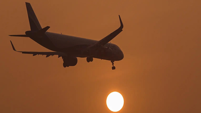representative image ani