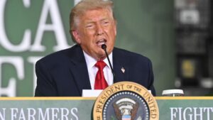108317767 1780694385011 gettyimages 2279332160 AFP B67H89G
