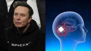 131716510