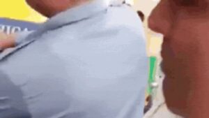 131716586
