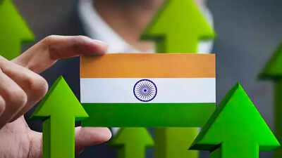 1782291602 indian economy