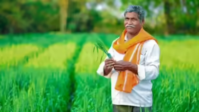 a farmer standing in the field file photo