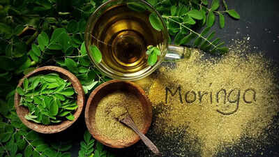 could chewing moringa leaves really boost your health