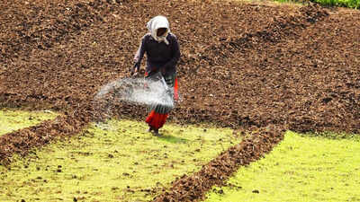 fertiliser ap farmjpg
