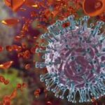 flu kills 12 lakhyear in india senior citizens bear the brunt