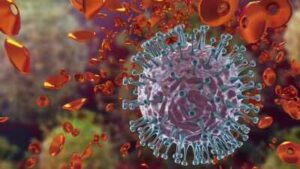 flu kills 12 lakhyear in india senior citizens bear the brunt