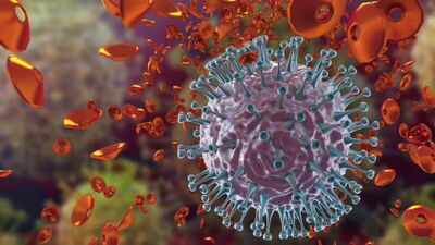 flu kills 12 lakhyear in india senior citizens bear the brunt