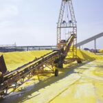 gujarat39s chemical manufacturers are facing significant production challenges due to a sharp surge in sulphur and sulphuric acid prices