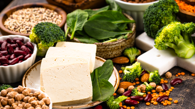 high protein diet for indians
