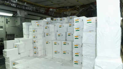 indias help to africa