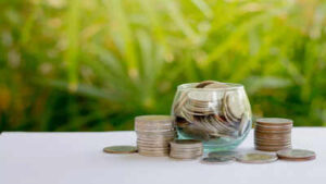 kotak small cap fund