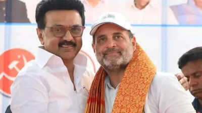 mk stalin and rahul gandhi file photo