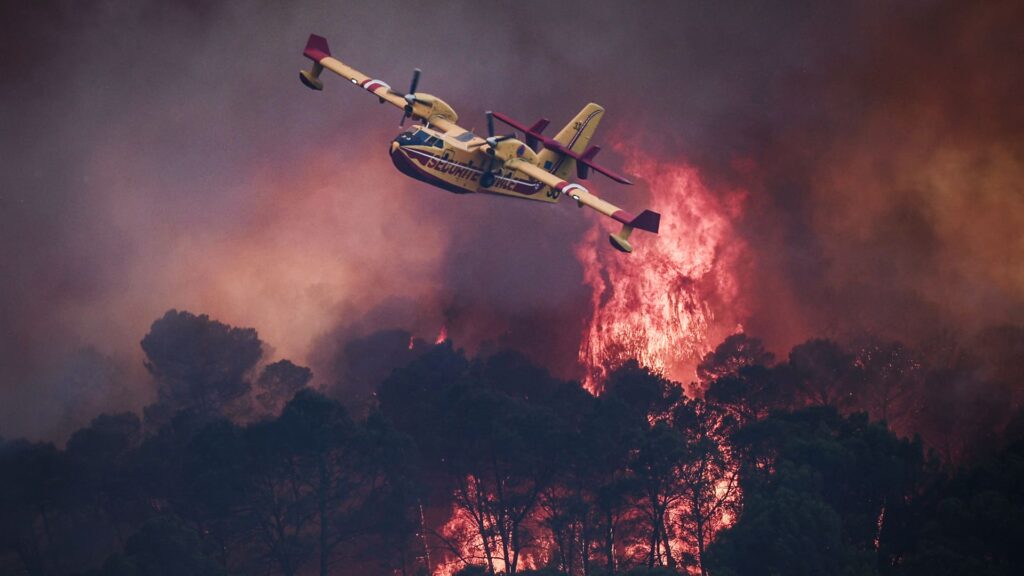 108340213 1785093979339 gettyimages 2286666732 AFP C2YU9CT