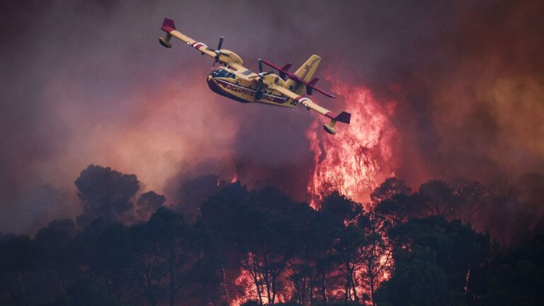 108340213 1785093979339 gettyimages 2286666732 AFP C2YU9CT