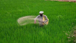 15 fertiliser cargo vessels cross strait of hormuz safely amid middle east conflict