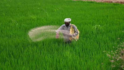 15 fertiliser cargo vessels cross strait of hormuz safely amid middle east conflict