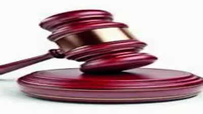 external agency cant record findings against lawyer sc
