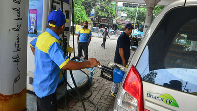 government said some rubber parts and gaskets in bs iii vehicles introduced from april 1 2005 and manufactured before 2016 may need to be replaced when operated with e20 fuel