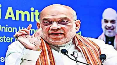 illegals root cause of demographic shifts in border dists shah