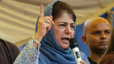 mehbooba mufti on pellet gun