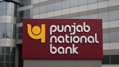punjab national bank