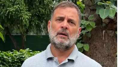 rahul gandhi slams govt