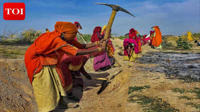 vb g ram g india39s new rural jobs scheme promises more work but shifts burden to states