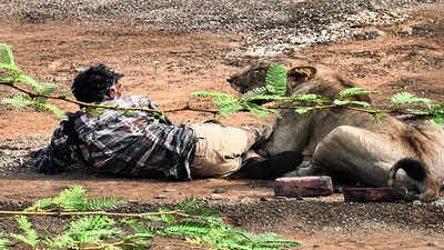 why guj villages are turning against the pride