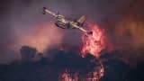 108340213 1785093979339 gettyimages 2286666732 AFP C2YU9CT