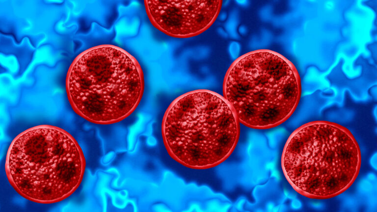 108343973 1785777214855 gettyimages 2285641469 cyclosporiasis outbreak