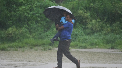 1785540675 representative image