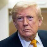 1786982612 donald trump