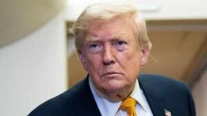 1786982612 donald trump