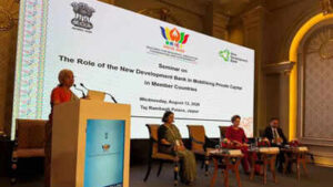 brics nations need stronger frameworks to mobilise private capital at scale nirmala sitharaman
