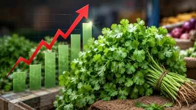 coriander
