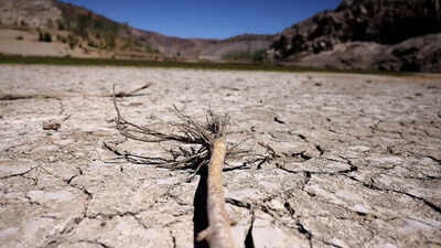 drought resilience dominates final days of unccd talks in riyadh