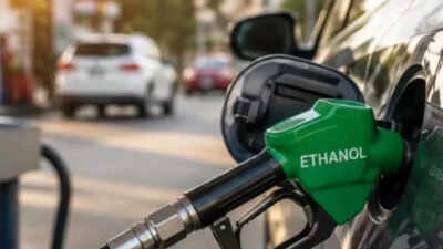 e20 petrol controversy