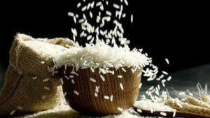 indian rice exports to iran