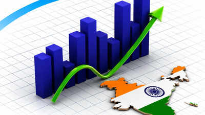 indias markets have strong domestic fundamental