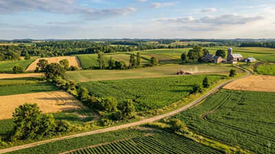 land