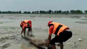 maharajganj uttar pradesh aug 27 ani sdrf personnel carry a body recovered