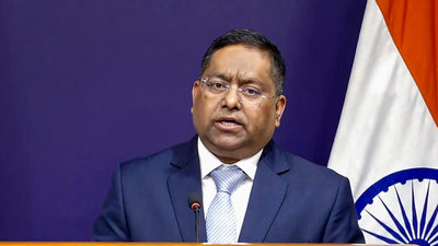 mea spokesperson randhir jaiswal pti file photo