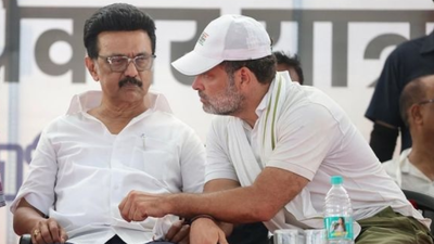 mk stalin and rahul gandhi