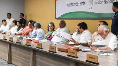 new delhi aug 19 ani aicc president mallikarjun kharge cpp chairperson soni