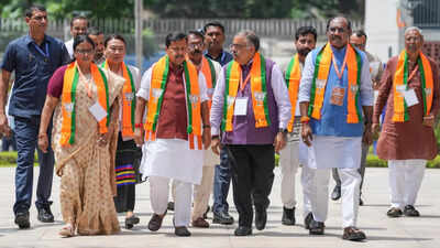 nitin nabin with bjps new national team