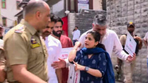 pdp leader iltija mufti demands j ks special status